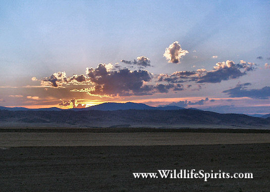 Click Picture to send as an  E-PostCard 52k 545x389